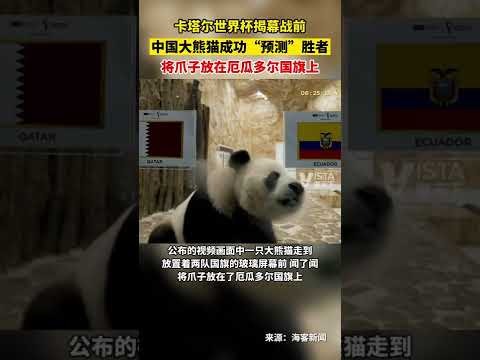 巴圣对决巅,峰战,圣保罗,平博体育平台,平博体育官方网站,平博体育登录入口,平博体育app下载