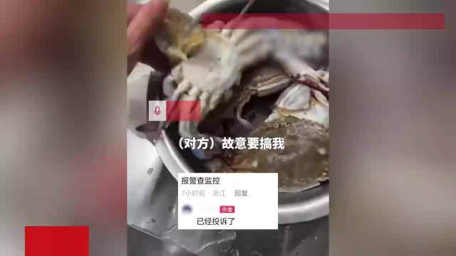 电竞游戏,绝地求生,热潮不减,平博体育官网,平博体育App,平博体育直播,平博体育平台,平博体育入口