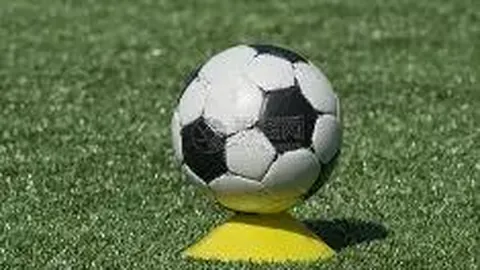 平博体育 资讯 104757 ndi