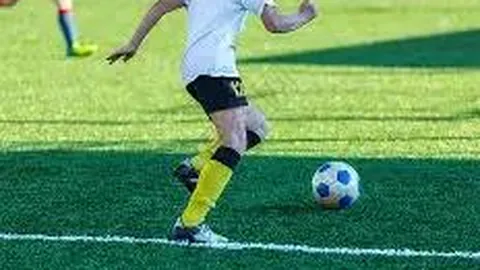 平博体育 产品 105038 ovi