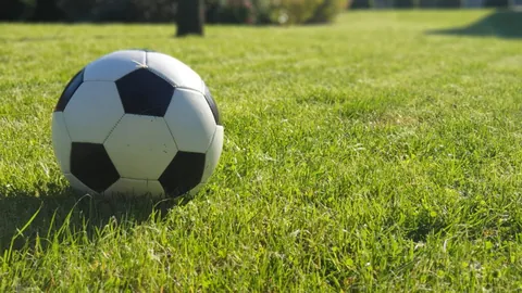 平博体育 产品 091831 93z