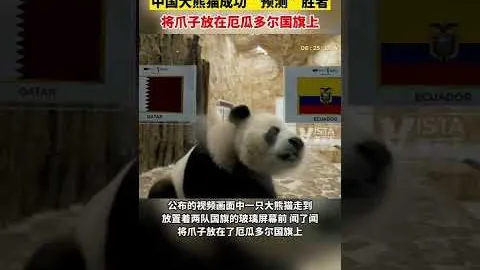 巴圣对决巅峰战：圣保罗VS圣贝纳多，谁能笑到最后？揭秘神秘对决！